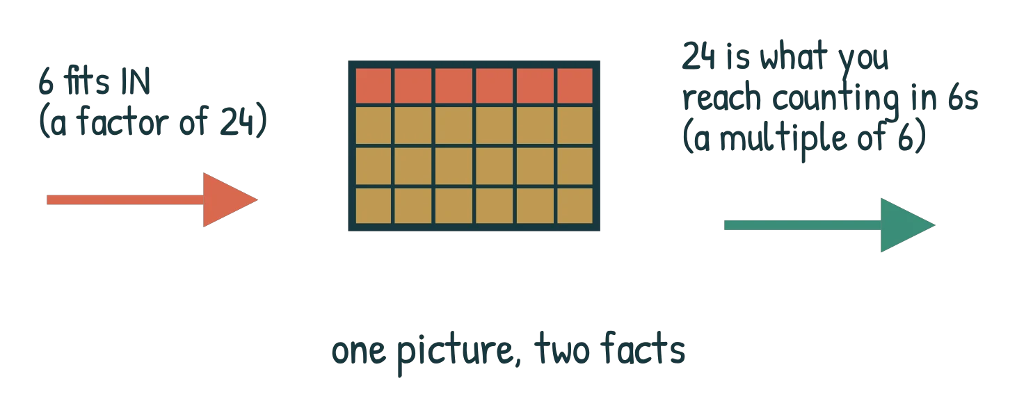 A 4 by 6 block of 24 tiles with the top row of six picked out, an arrow pointing into it labelled '6 fits in, a factor of 24' and an arrow pointing out labelled '24 is what you reach counting in 6s, a multiple of 6'